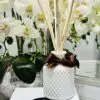 Bohemian Queen - White & Brown - Image 3