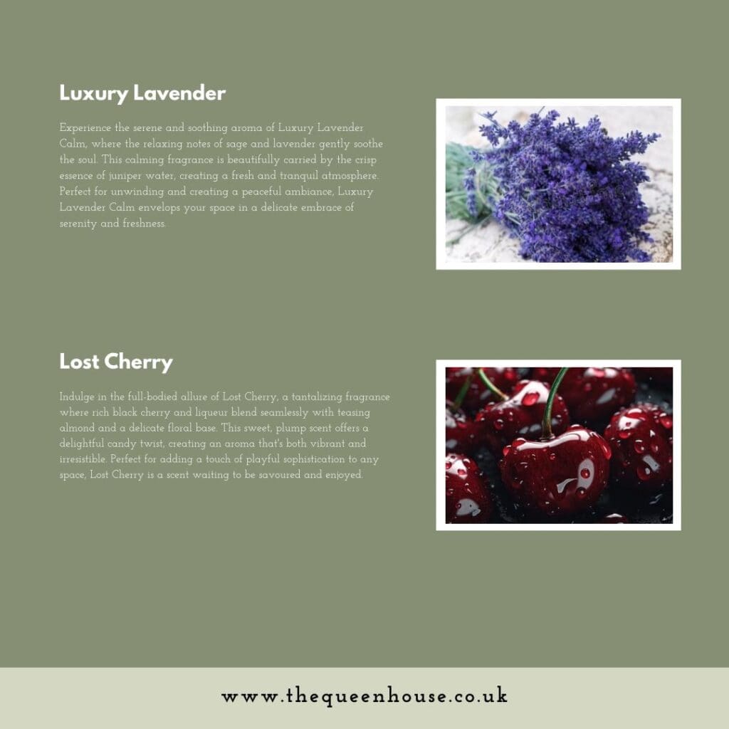 WhatsApp Image 2024 08 27 at 17.01.23 fd07bab0