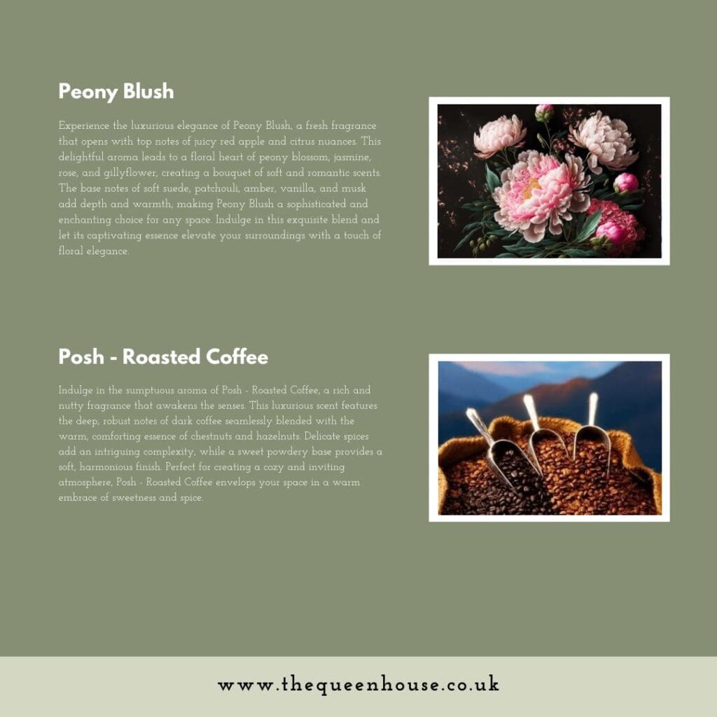 WhatsApp Image 2024 08 27 at 17.01.25 ba51fe1d