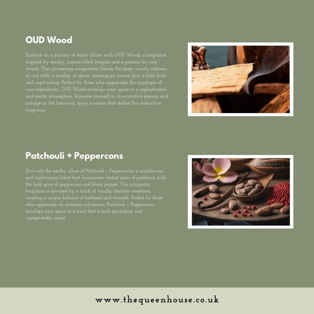 WhatsApp Image 2024 08 27 at 17.01.25 d4cfde30