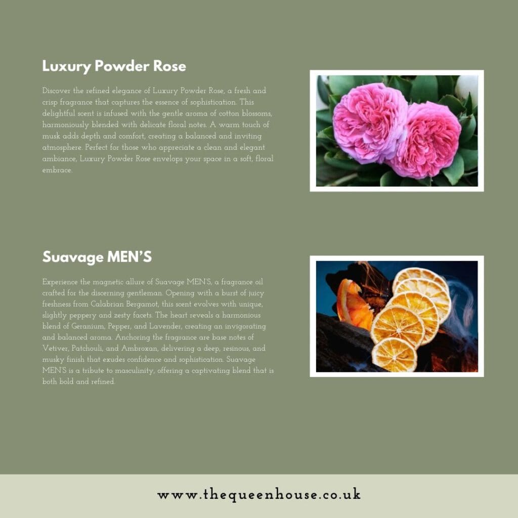 WhatsApp Image 2024 08 27 at 17.01.26 527e8b74