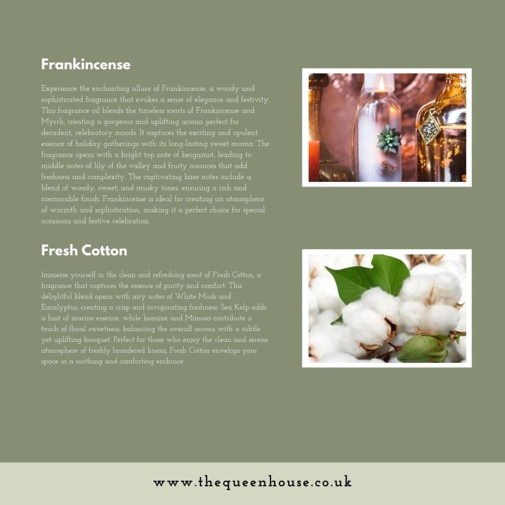 WhatsApp Image 2024 08 27 at 17.01.27 043263e1