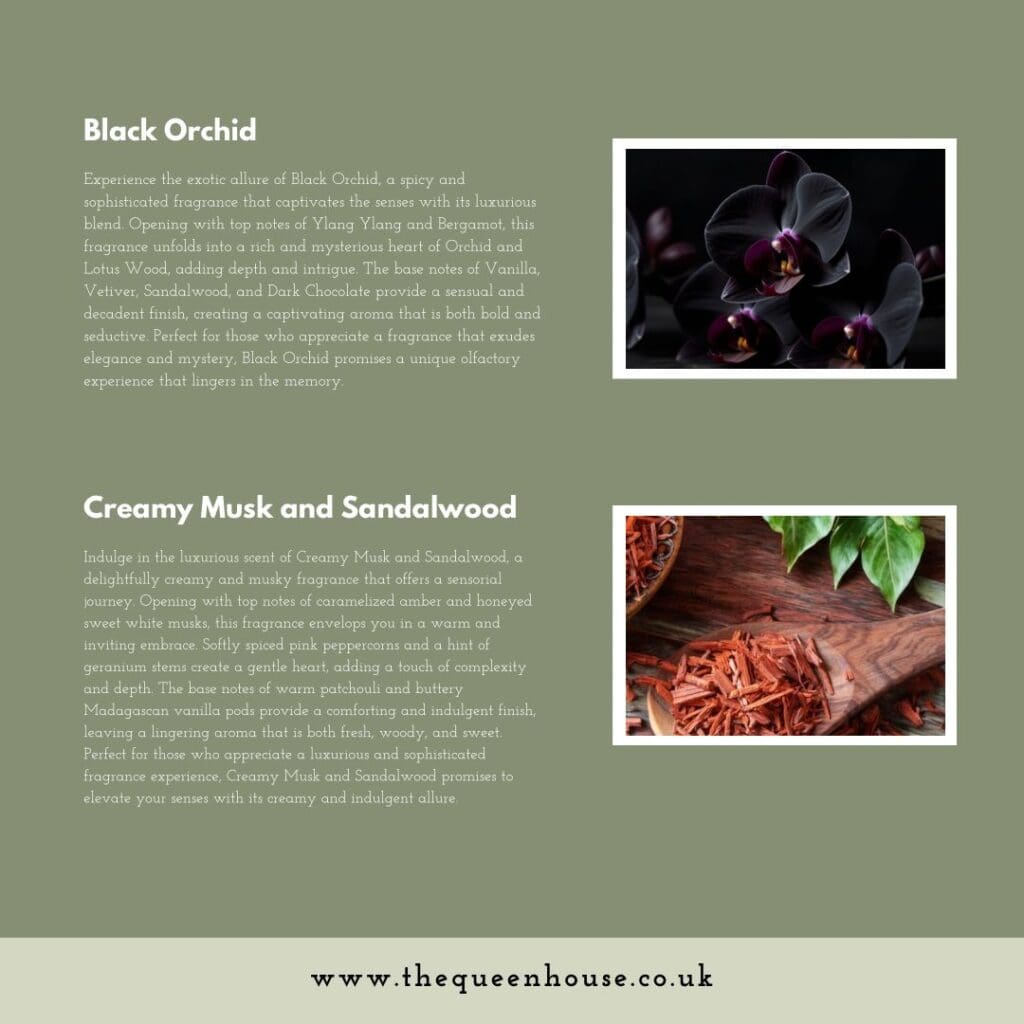 WhatsApp Image 2024 08 27 at 17.01.28 3a6b9701