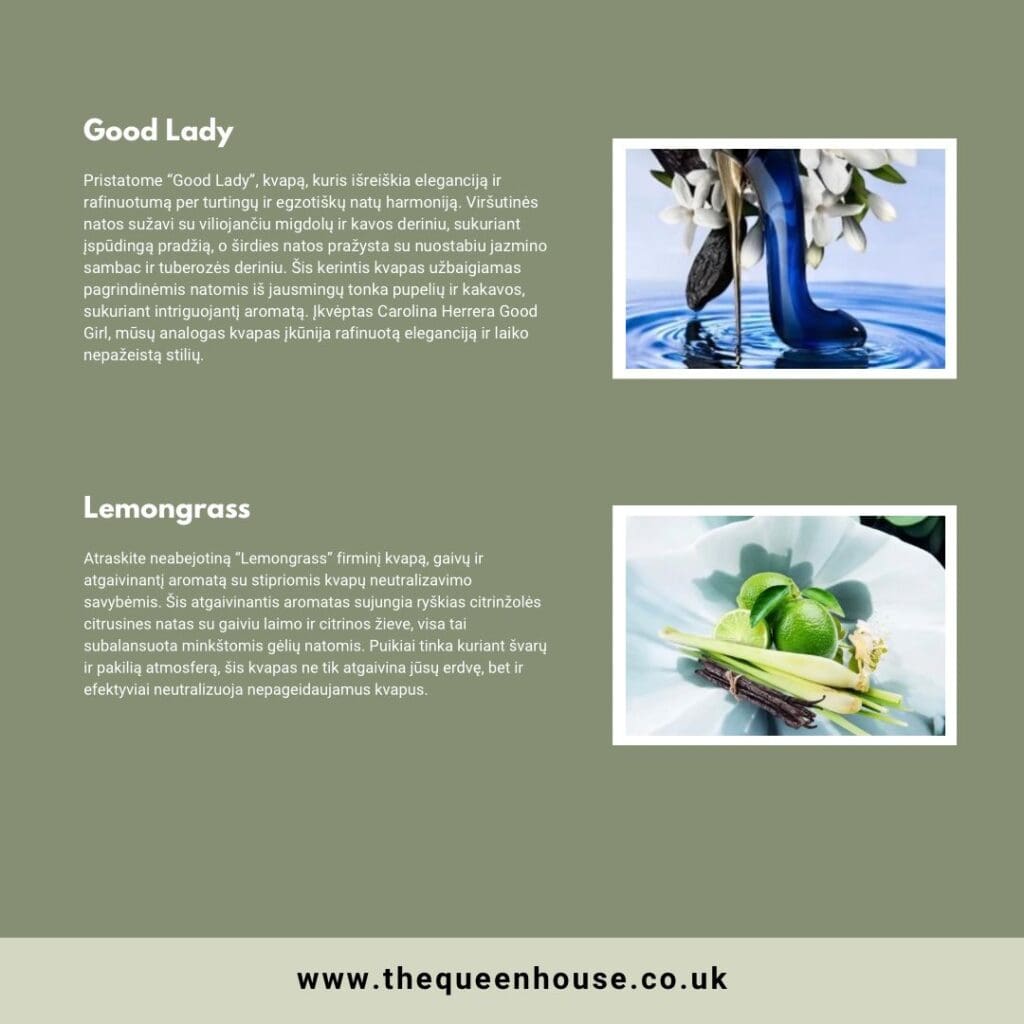 WhatsApp Image 2024 08 27 at 17.01.53 9d7d24d0