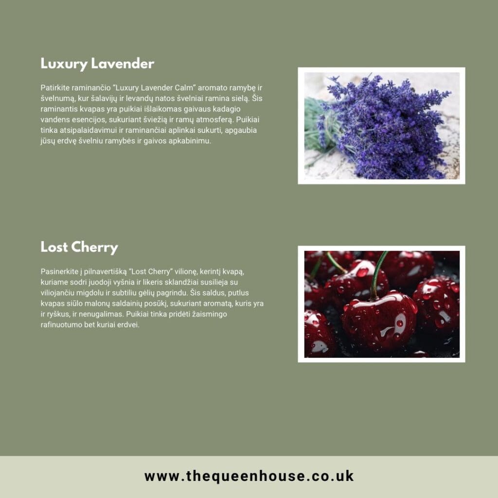 WhatsApp Image 2024 08 27 at 17.01.53 9f20404f