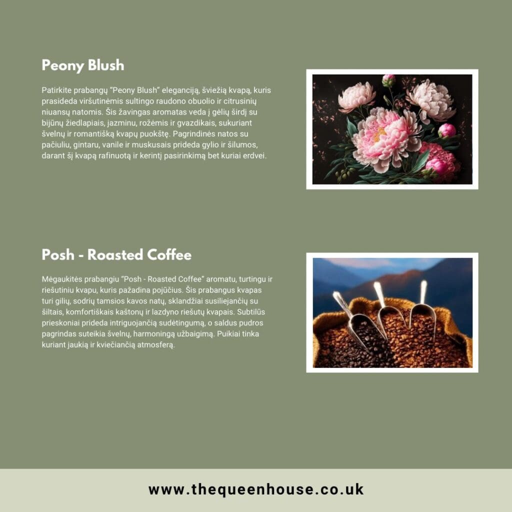 WhatsApp Image 2024 08 27 at 17.01.55 5ab543d4