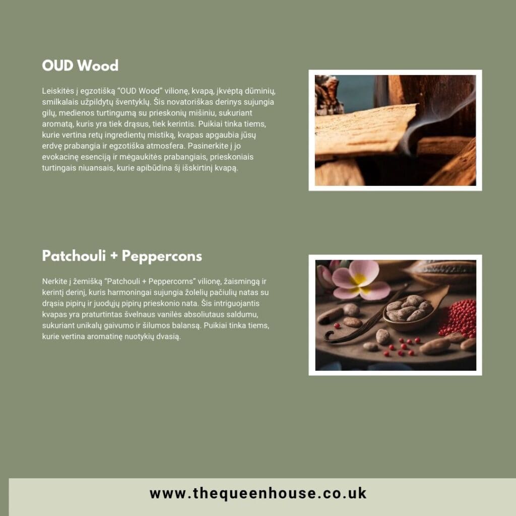 WhatsApp Image 2024 08 27 at 17.01.55 745e2630