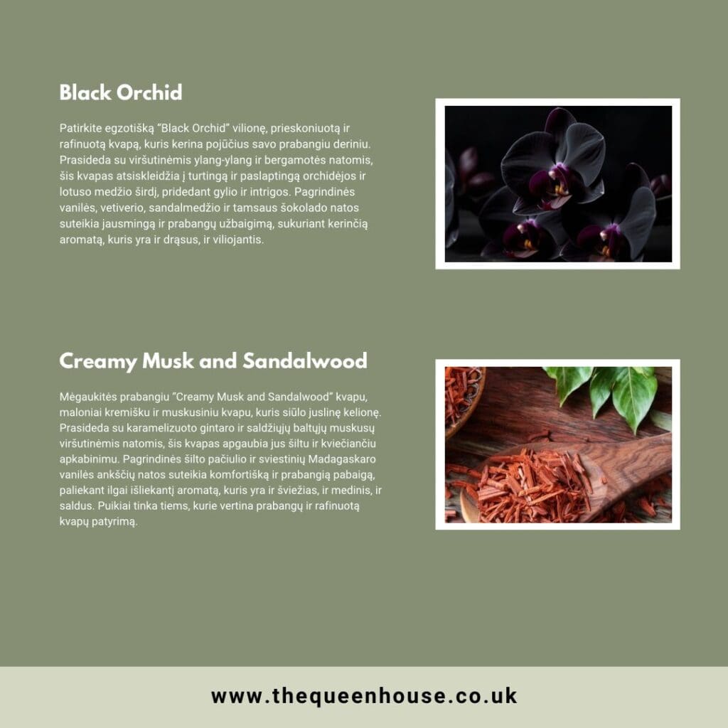 WhatsApp Image 2024 08 27 at 17.01.58 0673a6c7