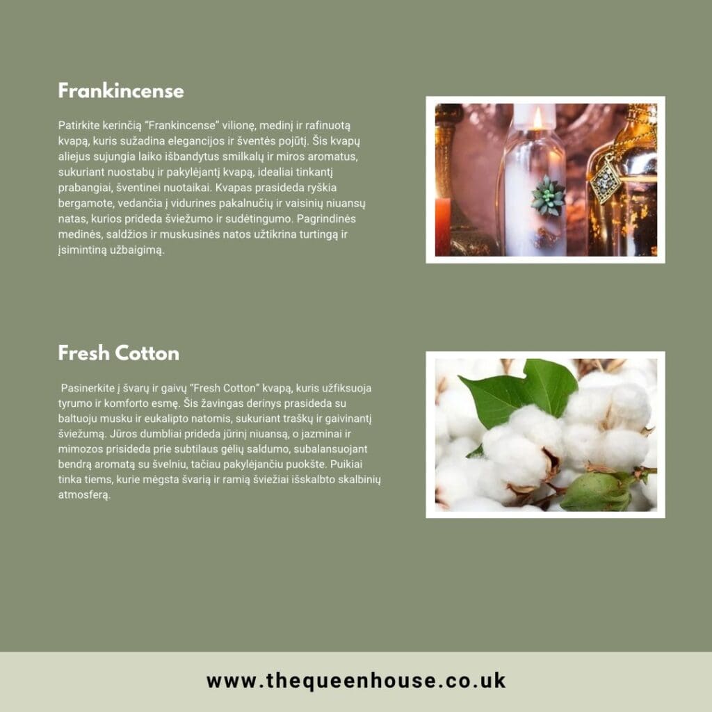 WhatsApp Image 2024 08 27 at 17.01.58 c49be4e4